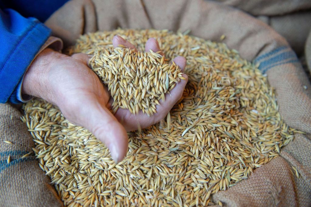 Eigene Futtermischung