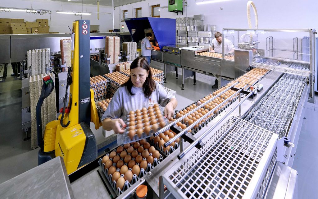 Groß- und Kleinpackungen