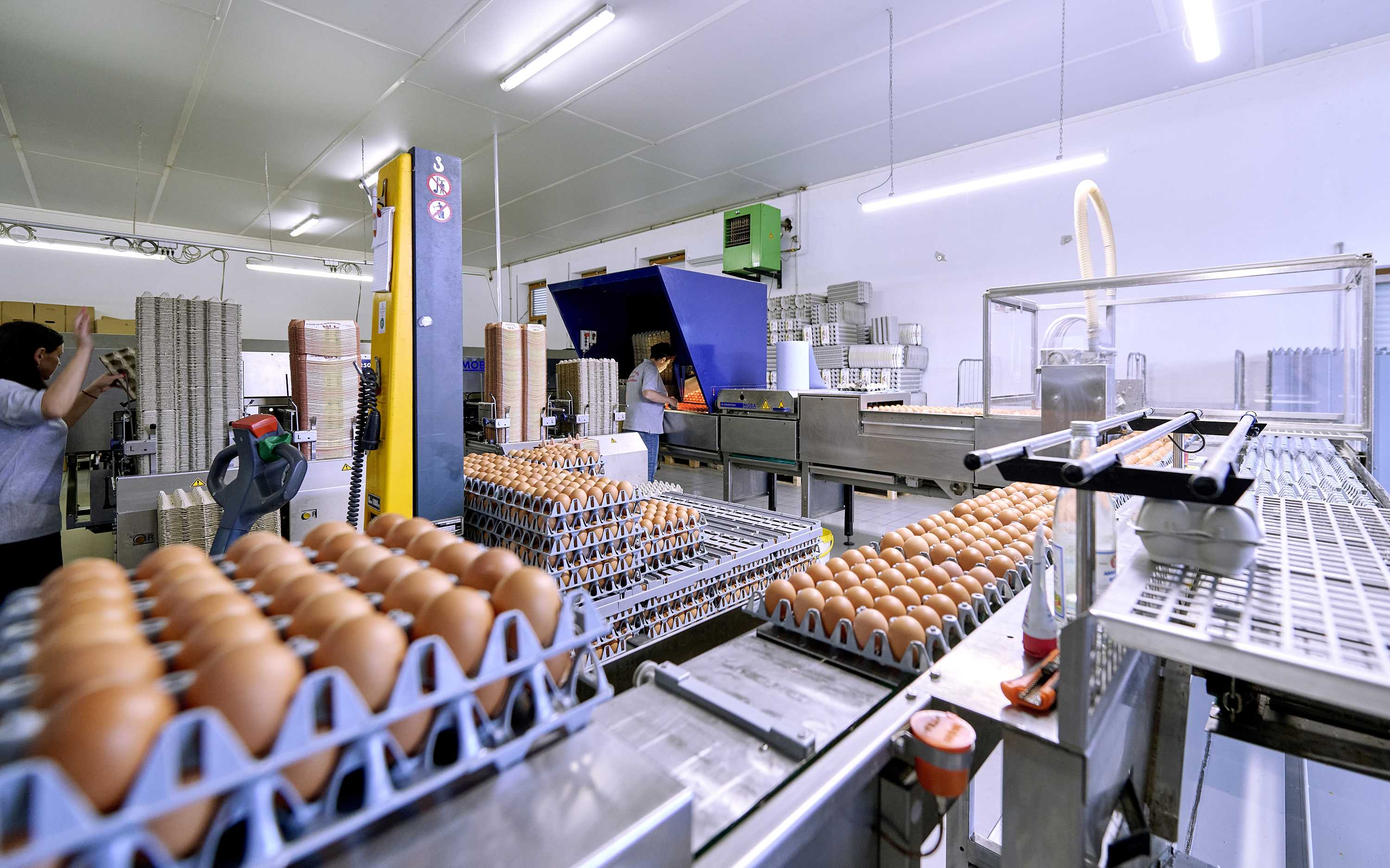 Bei den Verpackungen achten wir auf wiederverwertbare Materialien