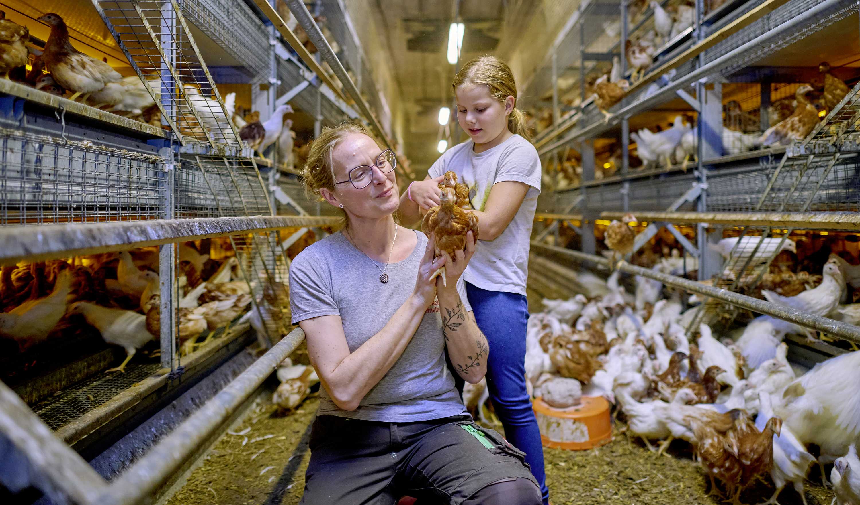 Artgerechte Hühnerhaltung Pleiskirchen
